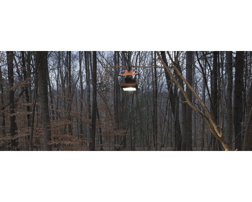 Een bouwlamp hangt aan een tak in het bos en geeft licht.