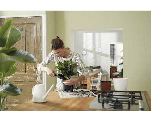 Vrouw verpot kamerplant met tuinschep in plantenbak