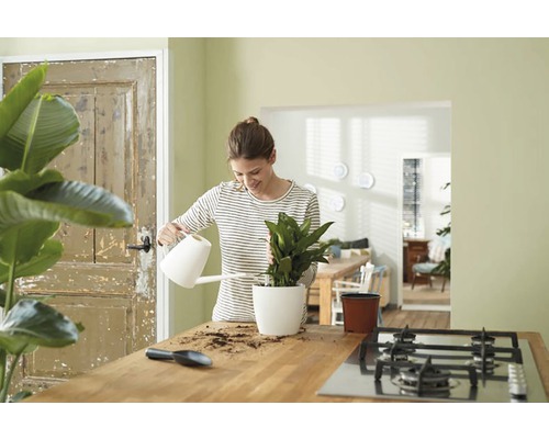 Vrouw geeft kamerplant water met gieter in de keuken