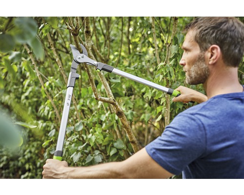 Man snoeit een boom met een takkenschaar.