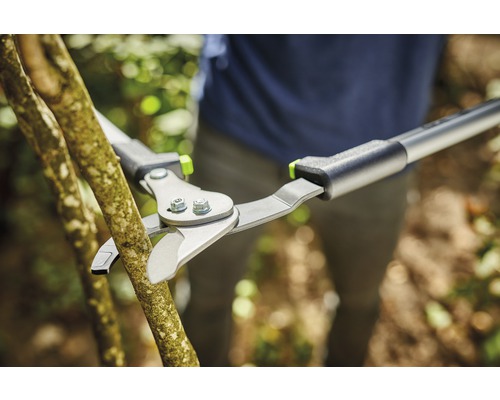 Takkenschaar knipt tak