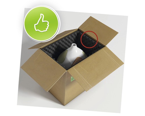 Product in open kartonnen doos met vulmateriaal