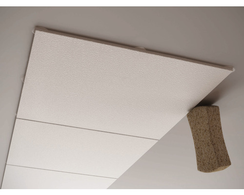 Plafondelement met onderconstructie voor bevestiging aan het plafond