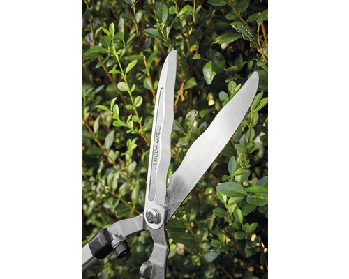 Heggenschaar in gebruik voor een haag