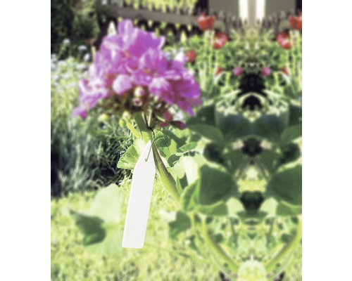 Bloem met etiket in de tuin