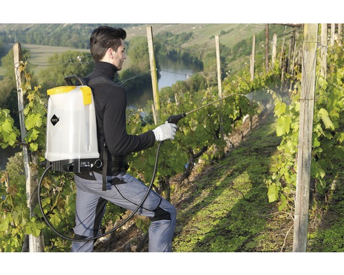 Een persoon gebruikt een rugspuit voor ongediertebestrijding in de wijngaard.