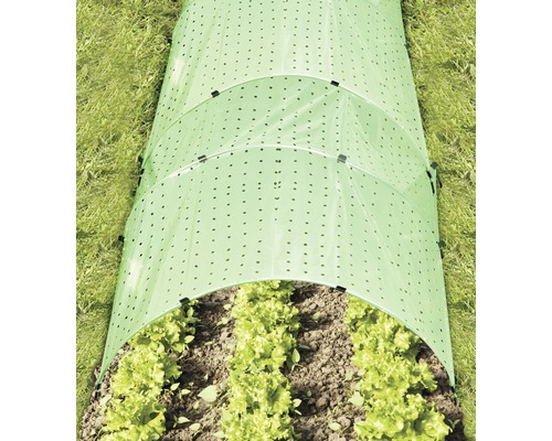 Groentebed met geperforeerde folietunnel ter bescherming van de planten