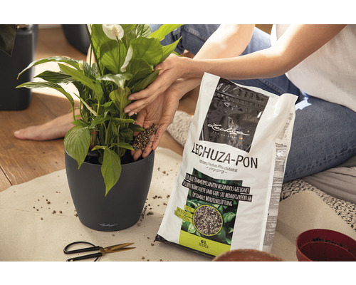 Vrouw plant kamerplant met Lechuza Pon in plantenbak