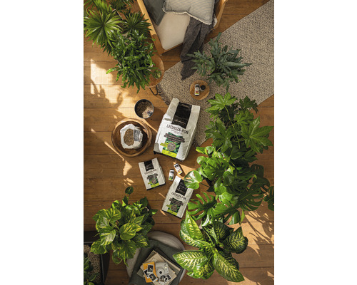 Kamerplanten en Lechuza Pon plantensubstraten op een houten vloer