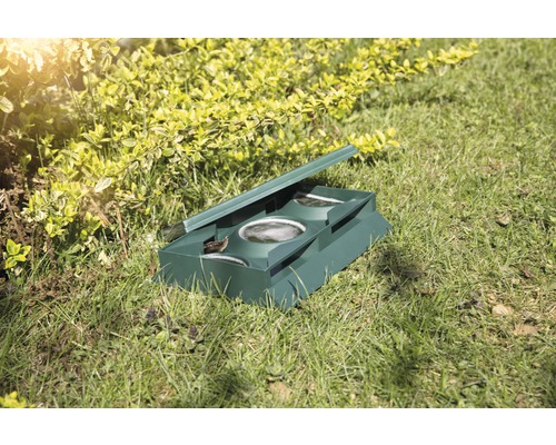 Groene lokaasdoos met deksel en vogel op gazon