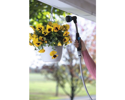 Een gele hangplant water geven met een tuinslang