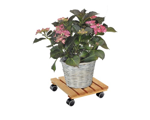 Hortensia in een mand op een plantenroller van hout