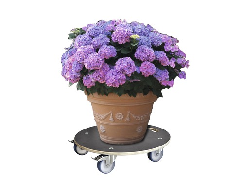 Bloempot met paarse hortensia''s op plantenroller