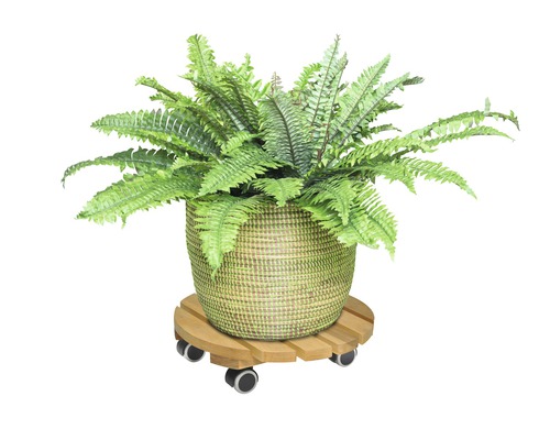 Kamerplant in een gevlochten pot op een houten plantenroller