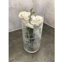 Orchidee in glazen vaas