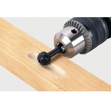 WOLFCRAFT Profielrasp kogelvormig Ø 15 mm
