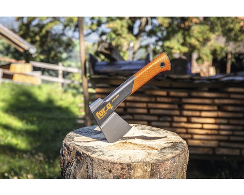 Bijl op een boomstronk met het For.q logo