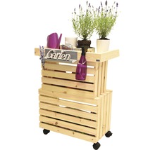 Houten tuintafelwagen met planten, gieter en tuingereedschap