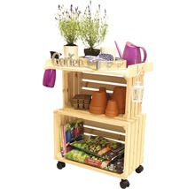 Houten tuinrek met tuinaccessoires zoals planten, gieter en aarde
