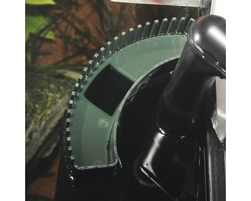 Detailweergave aquarium binnenfilter