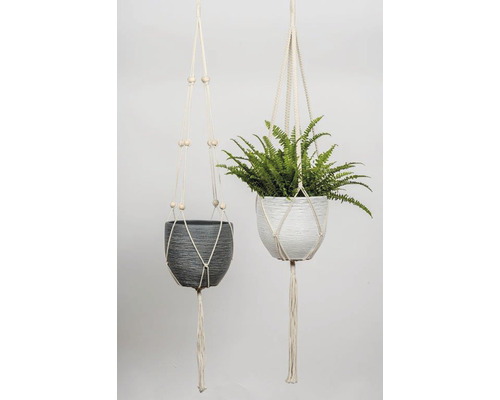 Twee hangende bloempotten met macramé-ophanging en planten