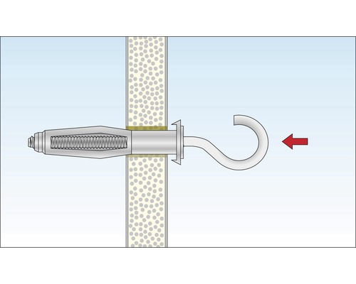 Metalen hollewandplug met haak in een wand