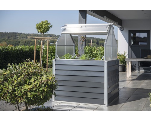 Verhoogde tuinbak met koude bak op een terras met beplanting