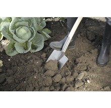 Persoon in de tuin met spade en kool