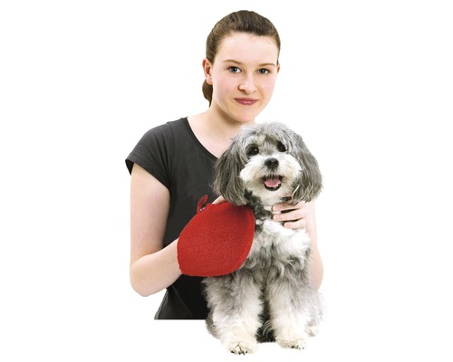 Vrouw houdt hond vast met dierenverzorgingshandschoen