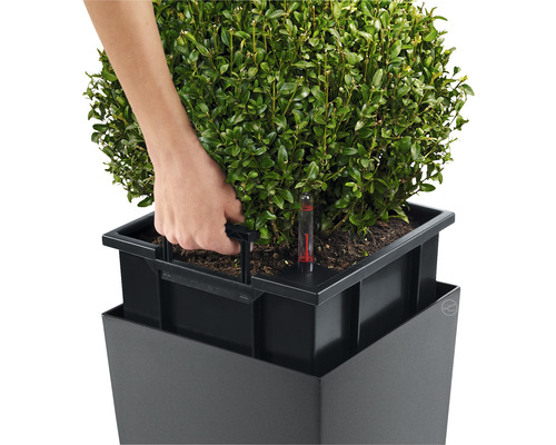 Detailopname van een vierkante plantenbak met irrigatiesysteem en een hand die het waterniveau controleert.