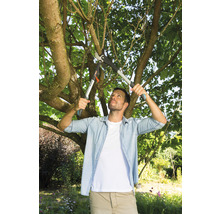 Een man snoeit takken met een takkenschaar in de tuin.