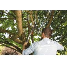 Man snoeit boomtakken met een takkenschaar