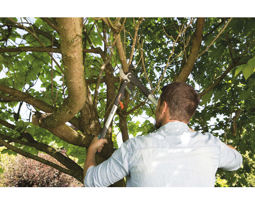 Man snoeit boomtakken met een takkenschaar