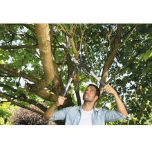 Man snoeit boom met takkenschaar in de tuin