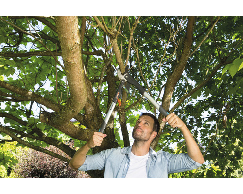 Man snoeit boom met takkenschaar in de tuin