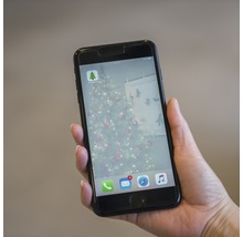 Een mobiele telefoon wordt vastgehouden en toont de Hornbach app met een kerstboom op de achtergrond.