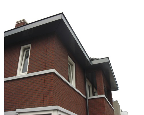 Exterieur van een huis met bakstenen gevel en dakrandprofiel