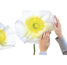Close-up van muurstickers met papaverbloemen en handen
