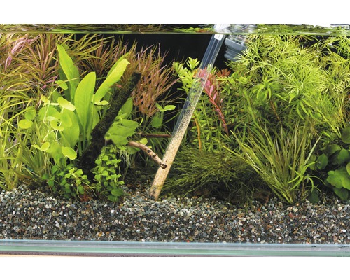 Aquarium met grind en planten