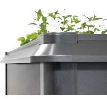 Gedetailleerd zicht op een plantenbak met beplanting