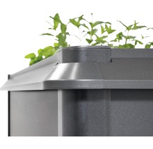 Detailopname van een plantenbak met planten