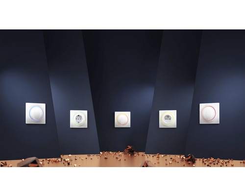 Vijf lichtschakelaars en stopcontacten met gekleurde rand op een muur