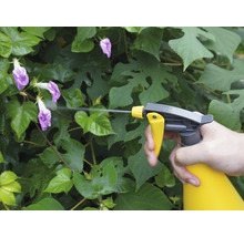 Iemand spuit planten met een spuitfles