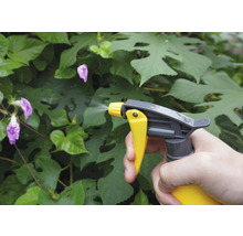 Spuitfles in gebruik voor plantenverzorging