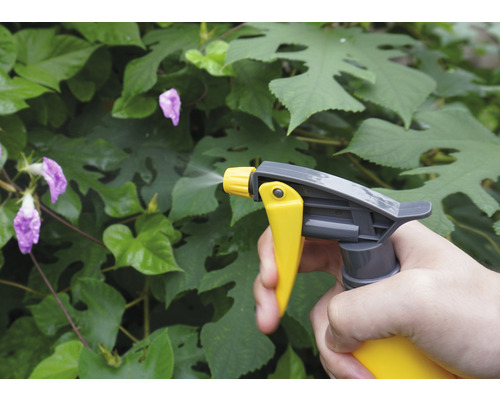 Toepassing van gewasbeschermingsmiddel met een spuitfles in de tuin