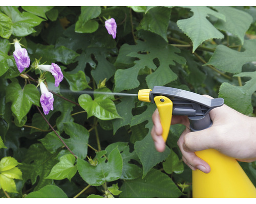 Een persoon gebruikt een spuitfles om planten te besproeien.