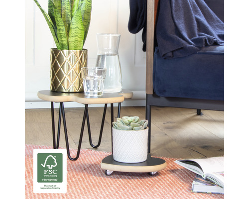 Decoratief interieur met kamerplanten op bijzettafels en plantenrollers in de woonkamer.