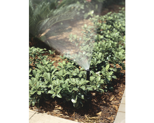Tuinsproeier besproeit tuinplanten