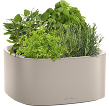 Kruidenpot met basilicum, rozemarijn, peterselie en salie