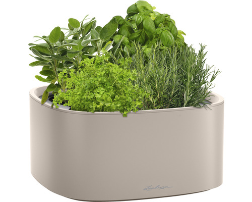 Kruidenpot met basilicum, rozemarijn, peterselie en salie